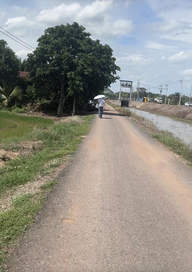 ขายที่นาสวยติดถนนสาธารณะ ติดลำน้ำ ต.ก้อนแก้ว อ.คลองเขื่อน จ.ฉะเชิงเทรา 4