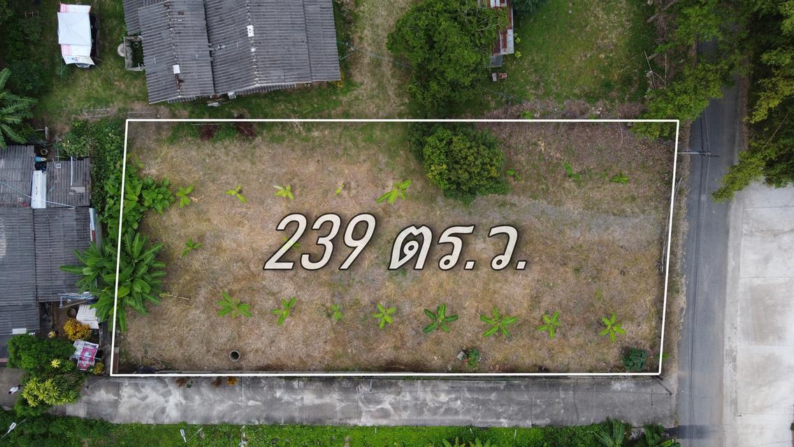 ที่ดิน 239 ตร.ว. ติดถนนคอนกรีต 2 ด้าน ถมแล้ว น้ำ-ไฟ-พร้อม