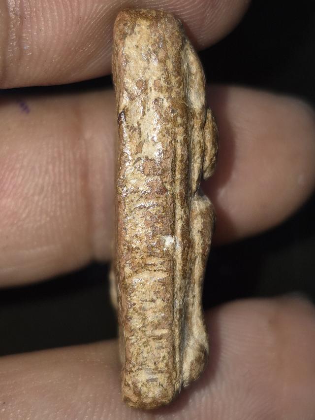 พระนางพญาเข่าตรง พิษณุโลก รูปที่ 4