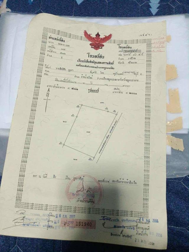 ขายที่ดิน แปลง10ไร่ แบ่งขาย 5ไร่ ติดถนนทางหลวงแผ่นดิน 2083 3