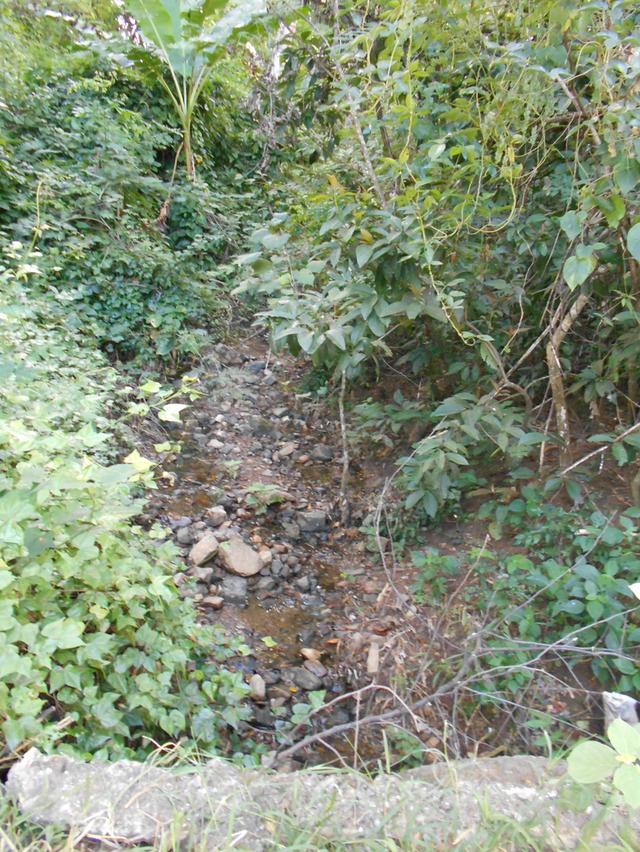 ที่ดินติดลำห้วย บ้านผาแดง ต.นายม อ.เมือง จ.เพชรบูรณ์ 19
