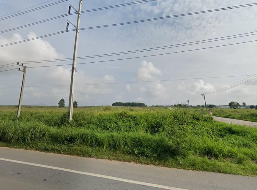 ขายที่ดินหนองเสือช้าง ท่าจาม 11 ไร่ ติดถนนชบ.3083 ติดถนนสาธารณะรอบด้าน ใกล้นิคมWHA3-5กม. อ.หนองใหญ่ ชลบุรี 3