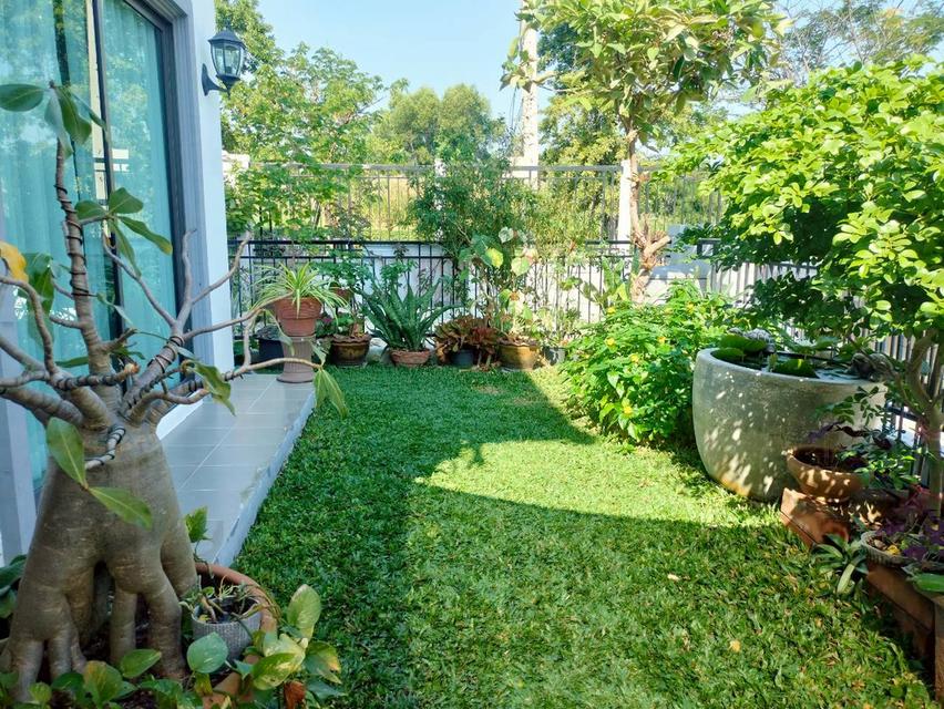 🚩ให้เช่า 🏡บ้านแฝด หลังริม 👉โมดิ วิลล่า บางนา ในบางเสาธง, สมุทรปราการ บ้านสวย พร้อมอยู่👈 18