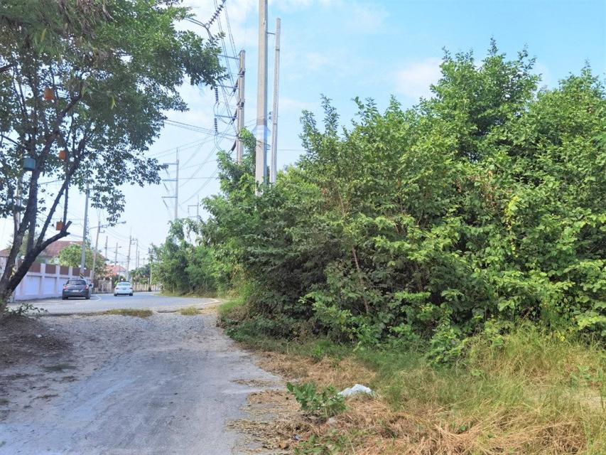 ขาย ที่ดิน ME262 ผัง EEC สีม่วงลาย นิคมอมตะ เฟส8 บ้านเก่า พานทอง ชลบุรี . 29 ไร่ 49 ตร.วา ติดถนนสาธารณะ 2 ด้าน ห่างถนน 3 5