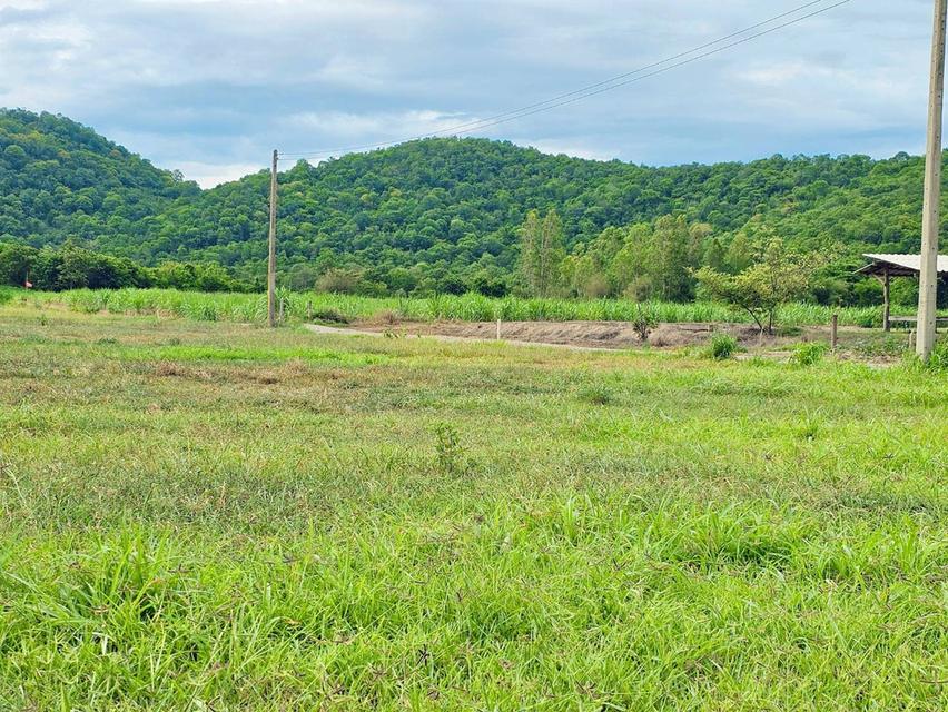 ที่ดินเขาขลุง บ้านโป่ง ราชบุรีผ่อนได้ 9