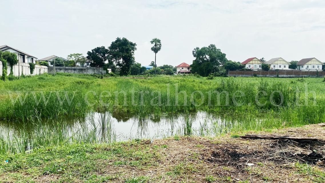 ที่ดิน ถนนชัยพฤกษ์ 3 ไร่ ใกล้ หมู่บ้าน มัณฑนา-ชัยพฤกษ์ ปากเกร็ด  5