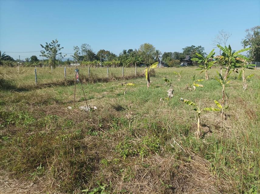 ขายที่ดิน 78ตร.ว. ต.สง่าบ้าน อ.ดอยสะเก็ด จ.เชียงใหม่ 2