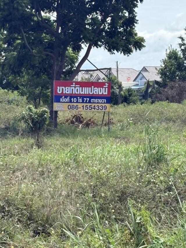 LAND FOR SALE | PHAN THONG, CHONBURI ที่ดินถมแล้วทั้งแปลง 10 ไร่ 77 ตร.ว. | เจ้าของขายเองโดยตรง 13