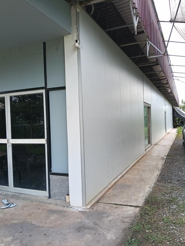 ที่ดินพร้อมโรงงาน+ห้องเย็น+โรงปลูกผักออแกนิค 3