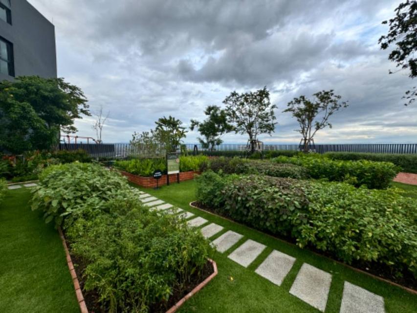 เดอะเบสไฮ คอนโดมิเนียม เชียงใหม่ 4