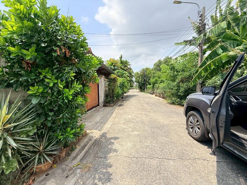 ขายด่วนที่ดินใกล้รถไฟฟ้า 120 ตรว ติดถนนคอนกรีต 2 ด้าน ซ.กาหลง 7,8 เมืองนนทบุรี 7