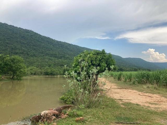 รวมบ้านที่ดินดีงามเพื่อคุณ ขายที่ดินสวยติดภูเขา เทือกเขายาวเรียงแนว ดินดีสมบูรณ์ทรัพย์ในดิน ฟ้าใสวิวหลักล้าน ต.นาจาน อ.ส 5