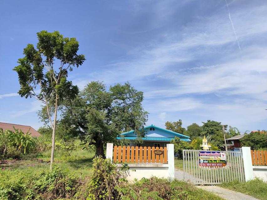 บ้านพร้อมที่ดินรวม1ไร่3งาน81ตรว. 5