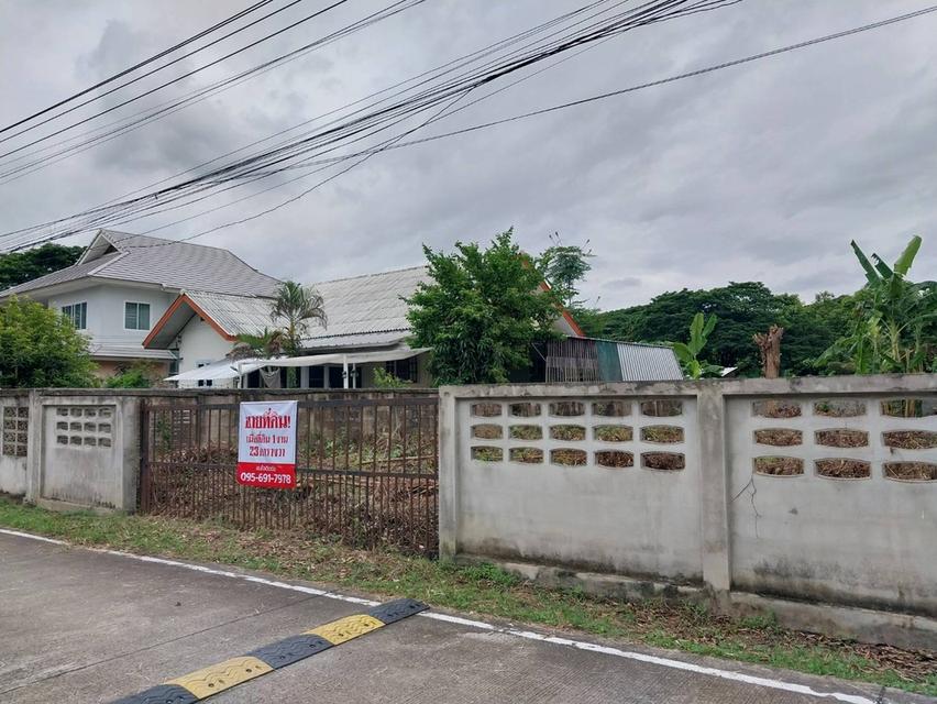 📍ขายที่ดินเมืองเชียงใหม่ (ใกล้เซ็นทรัลเฟสติวัล) 1งาน 23ตร.ว.
