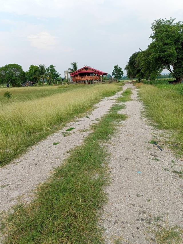 ที่ดินเปล่าแปลงเล็กราคาถูก 6