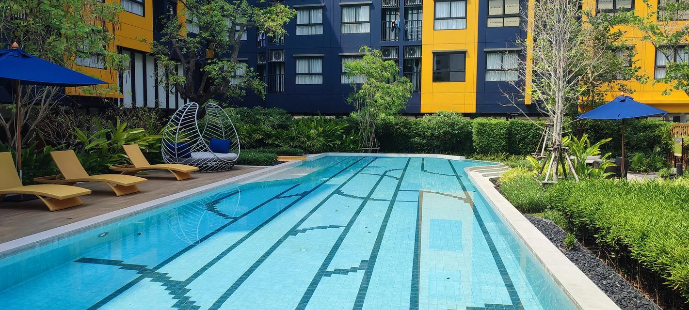 dcondo Shine Rangsit (ดีคอนโด ชายน์ รังสิต) 8