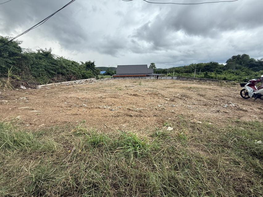 ที่ดิน 2