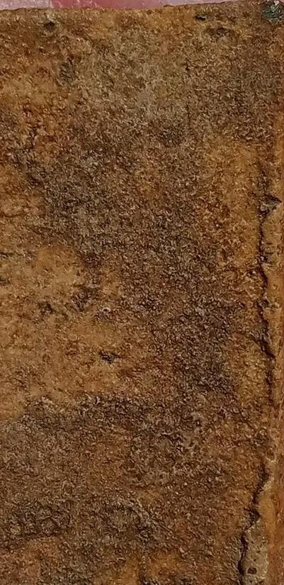 สมเด็จบางขุนพรหม พิมพ์ใหญ่ 3