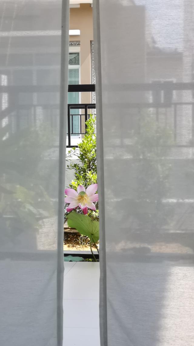 บ้านเดี่ยวหมู่บ้านเดอะเลควิว ทำเลดีใกล้ทะเลสาบ 4