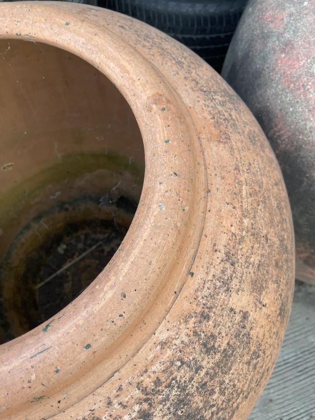 โอ่งแดง ใบใหญ่ ไซต์จัมโบ้ ขนาด70ซม โอ่งดินเผาอยุธยา 3