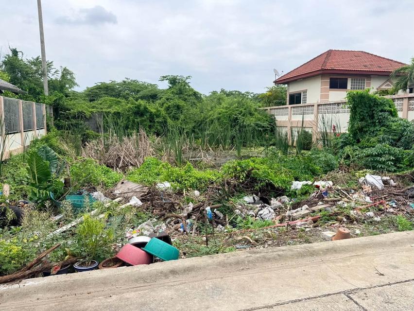 ขายด่วนที่ดินตลาดใหญ่ลำลูกกา 100 ตรว ติดถนนคอนกรีต ซ.เทศบาล 17 ลำลูกกา ปทุมธานี 6