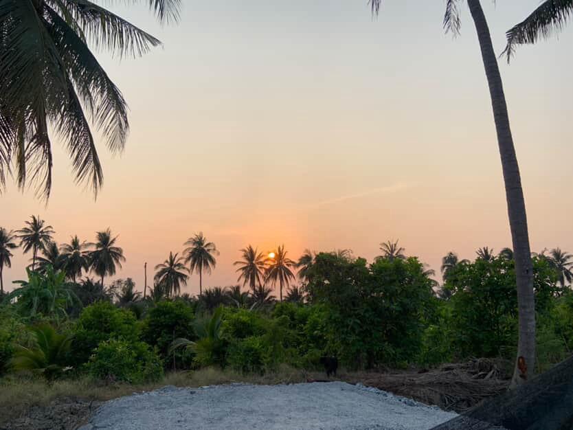 🌿 ขายที่ดินแปลงสวย ทำเลดี สามพราน นครปฐม 🌿 4