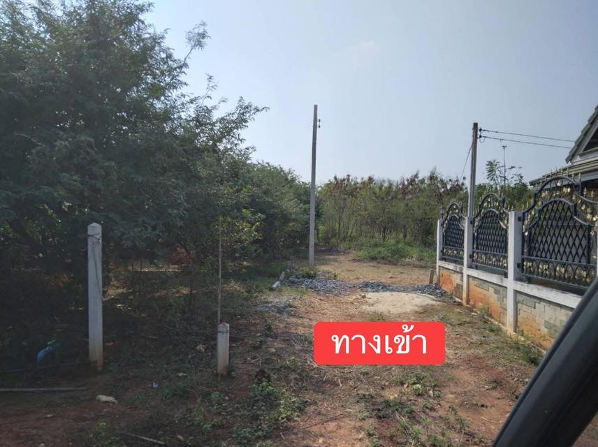ที่ดินว่างเปล่า เนื้อที่ 5 ไร่ 2