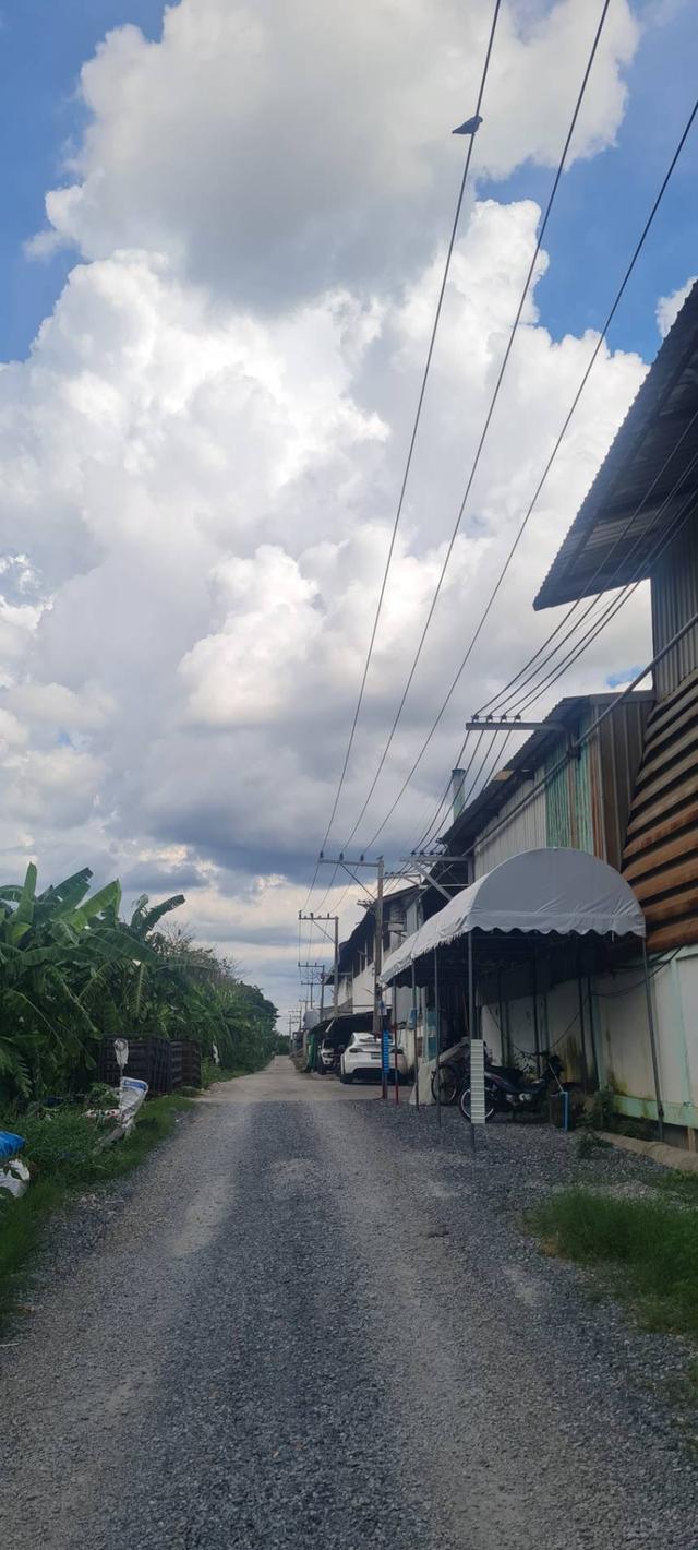 ขายที่ดิน บางเลน 1 ไร่ 2 งาน 97 ตรว  ตรว.ละ 3,500 บาท  เข้าทางซอยประมาณ 150 เมตร ที่ดินอยู่ทางขวามือ ติดต่อ 095-7897915 2