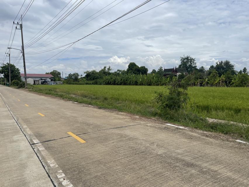 ขายที่ดินคูบางหลวงสีม่วง 2 ไร่ ใกล้ถ.ปทุมธานี-บางเลน346-1กม. อ.ลาดหลุมแก้ว ปทุมธานี 1