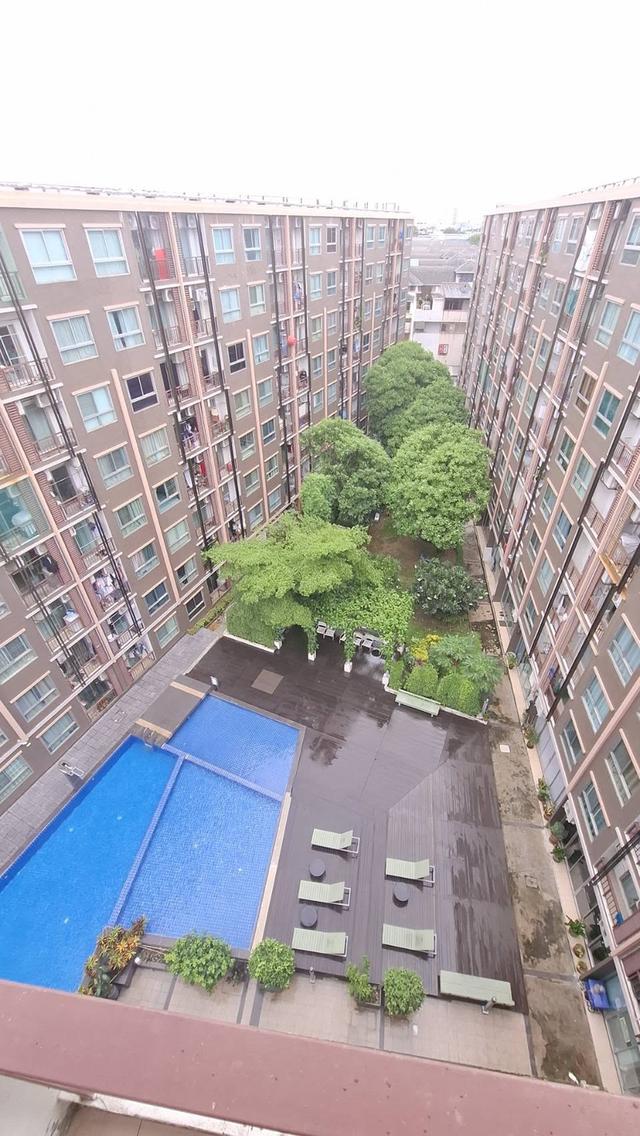 🏙️ ให้เช่า Origin Condo พระราม 2 รีโนเวทใหม่ ห้องมุม วิวสวนและสระว่ายน้ำ✨ 12