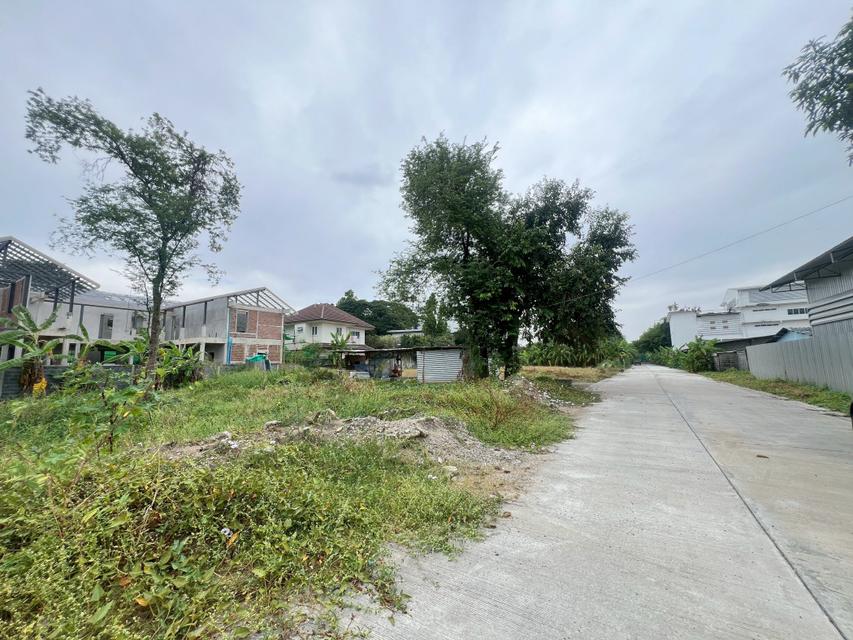 ขายที่ดิน 1 ไร่ 3 งาน 64 ตร.ว. ซอยปุณณวิถี 39 ใกล้ ถนนสุขุมวิท 6