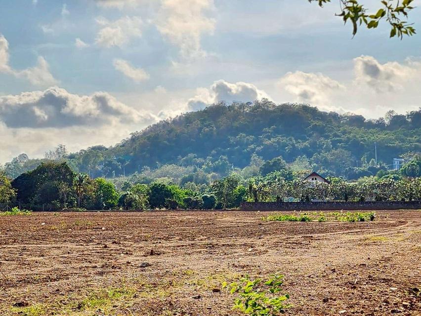 ขายที่ดินทำเลศักยภาพ ในอนาคตรถไฟฟ้าความเร็วสูงผ่าน และสนามบินนานาชาติอู่ตะเภา 4
