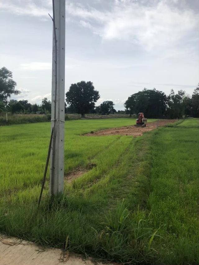 เจ้าของขายเอง ขายที่ดิน 5 ไร่กว่า ติดถนน น้ำ-ไฟ ถึง ห่างสถานีรถไฟ อำเภออุทุมพรพิสัย 5 กิโล เดินทางสะดวกมาก 10