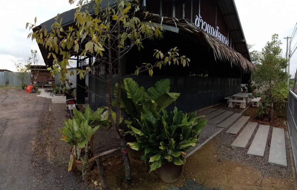 ขายร้านข้าวแกงพร้อมบ้าน 1