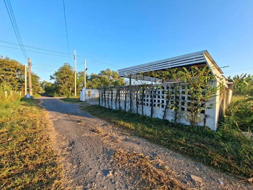 ขายบ้านเดี่ยวชั้นเดียว ซอยเลียบวารี59 หนองจอก กรุงเทพมหานคร 2