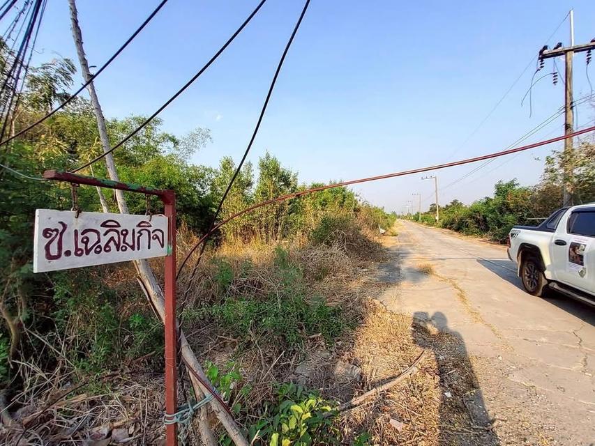 ขายด่วนที่ดิน 100 ตารางวา - ดี ติดถนนคอนกรีต 2 คลอง 12 หนองเสือ ปทุมธานี