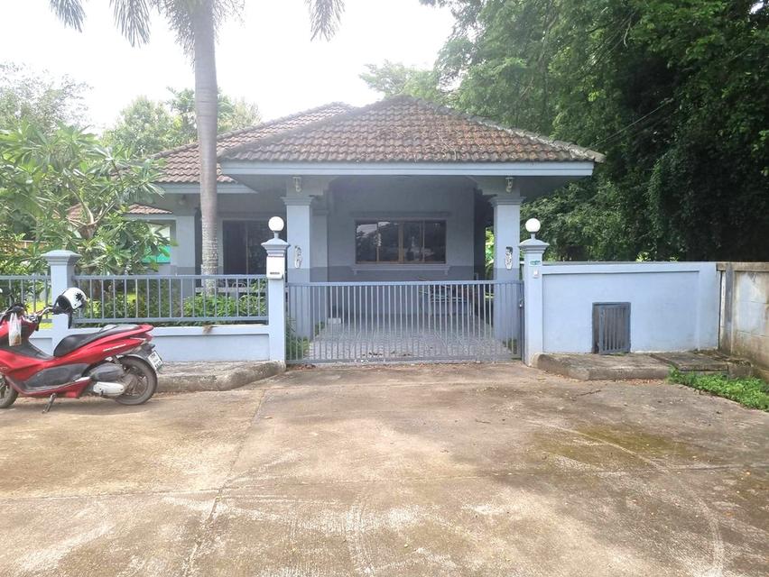 ✨ให้เช่าบ้านเดี่ยวชั้นเดียว ทำเลแม่ริม ใกล้รร.นานาชาติเปรม ✨ 1