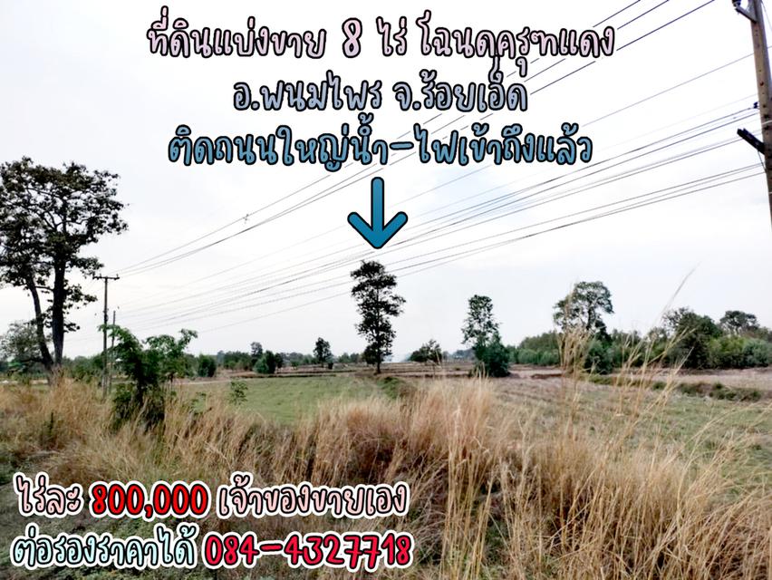 ที่ดินแบ่งขาย 8 ไร่ ราคาไร่ละ 800,000 พร้อมโฉนดครุฑแดง น้ำไฟผ่าน ติดถนนใหญ่ จ.ร้อยเอ็ด เจ้าของขายเอง ราคาต่อรองราคาได้ สนใจติดต่อ 084-4327718 10