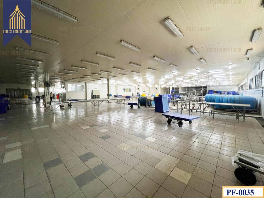 ขายโรงงาน ห้องเย็น ใกล้บ้านโพธิ์ ฉะเชิงเทรา คลองประเวศ ฉะเชิงเทรา 8