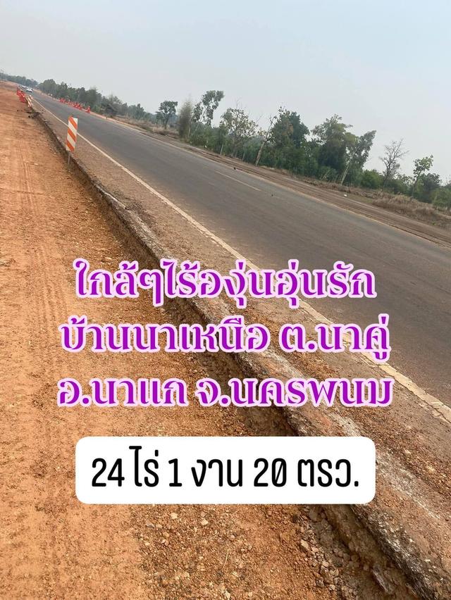 ที่ดินติดถนนหลักเส้นนาแก-พระซอง-เรณู24 ไร่ 1