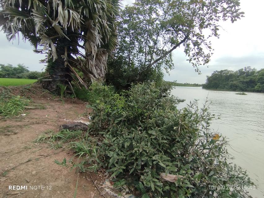 🌿ขายที่ดินริมน้ำบางปะกง9ไร่ ข้าง รพ.สต.บางแตน อ.บ้านสร้าง ฮวงจุ้ยดีเยี่ยม “ถุงทอง” ปากแคบ–ก้นกว้าง เก็บทรัพย์ 6