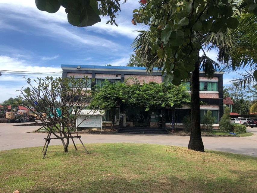 ให้เช่า/ขายโรงงาน โกดัง 31 ไร่ ปราจีนบุรี พร้อมใบอนุญาติประกอบกิจการ ทำเลดี ถนนสายกบินทร์บุรี-ปักธงชัย 4