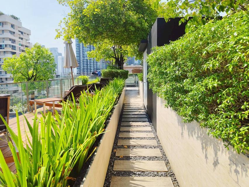 ขายต่ำกว่าทุน คอนโดลิฟ แอท 49 (LIV@49 Condominium ) ซอยสุขุมวิท 49 พื้นที่ 46.97 ตารางเมตร อาคารB แขวงคลองตันเหนือ เขตวัฒนา กรุงเทพมหานคร 1 15