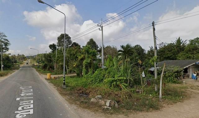 ขายที่ดินนิคมพัฒนาระยอง ขายที่ดินระยองเนื้อที่ 10 ไร่ ต.พนานิคม อ.นิคมพัฒนา จ.ระยอง ผังสีม่วงลาย 6