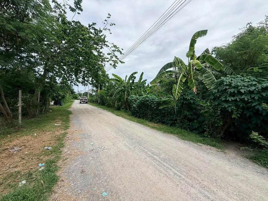 ขายด่วนที่ดิน 207 ตรว ติดถนนสาธารณะ ลานตากฟ้า นครชัยศรี นครปฐม 6