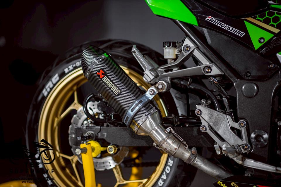 KAWASAKI NINJA300 2014 รูปที่ 10