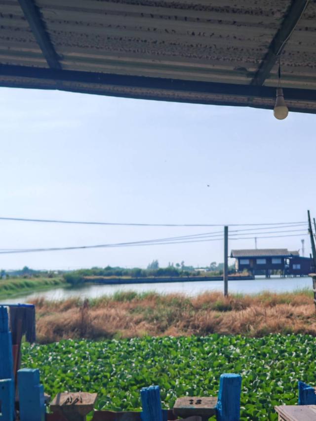 ที่ดินแปลงสวย ต.บางบ่อ สมุทรปราการ 1