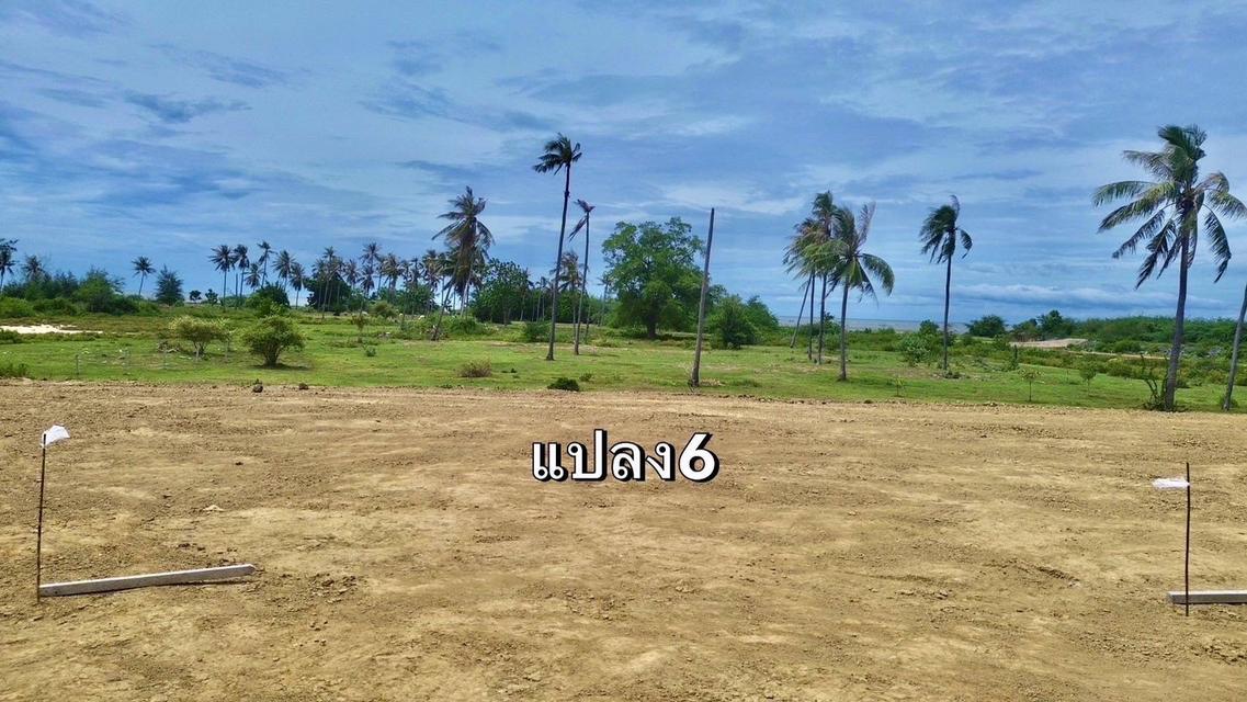 ที่ดิน บ่อนอก ประจวบคีรีขันธ์ติดทะเล 50 ตรวา ผ่อนได้