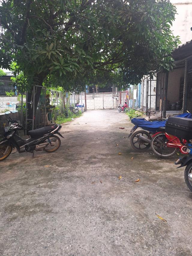 ขายอาคารพาณิชย์ 3 ชั้นพร้อมที่ดินด้านหลัง