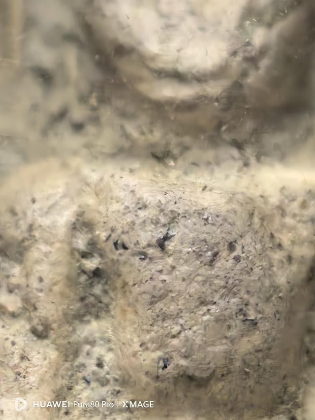 พนะคงขาวกรุช้างค้ำ